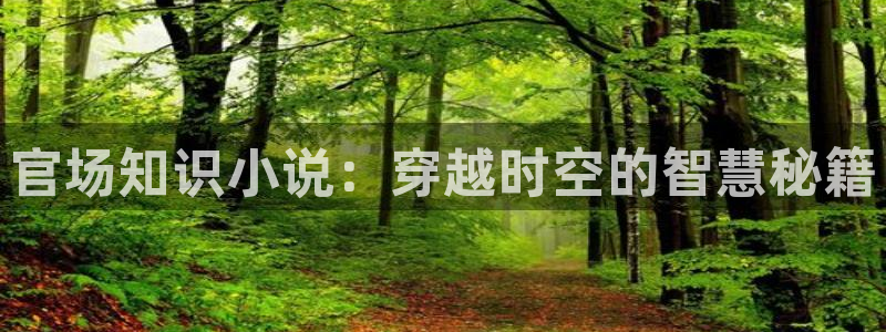 潇湘书院全文免费阅读：官场知识小说：穿越时空的智慧秘籍