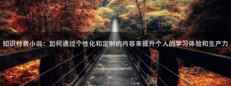潇湘书院在线阅读：知识付费小说：如何通过个性化和定制的内容来提升个人的学习体验和生产力